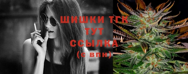 тгк Армянск