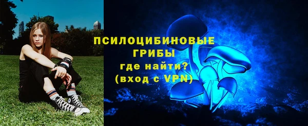 тгк Армянск